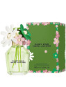 Daisy Wild EDP